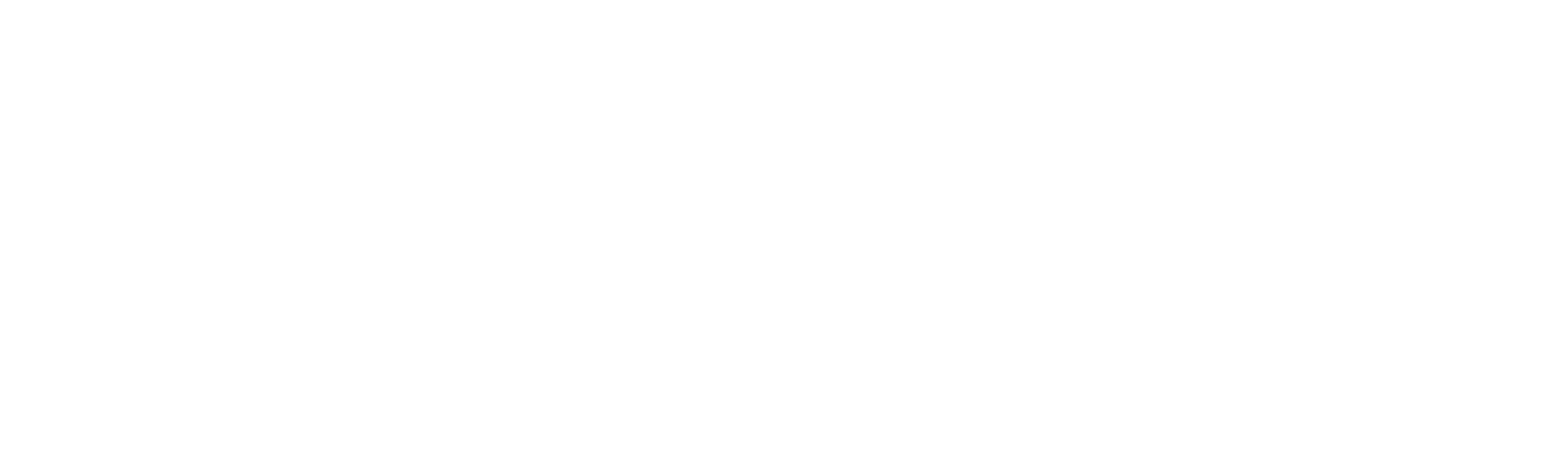 PayFast Logo White
